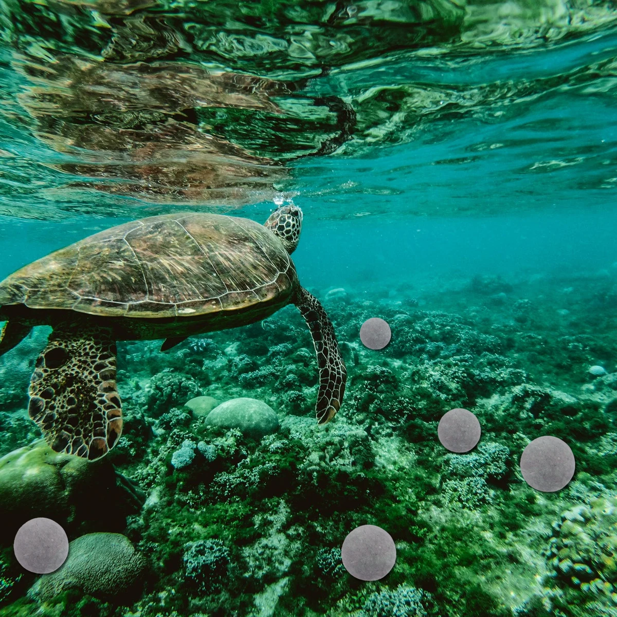 Filtern – Die perfekte Lösung für saubere Luft in Haus und Büro