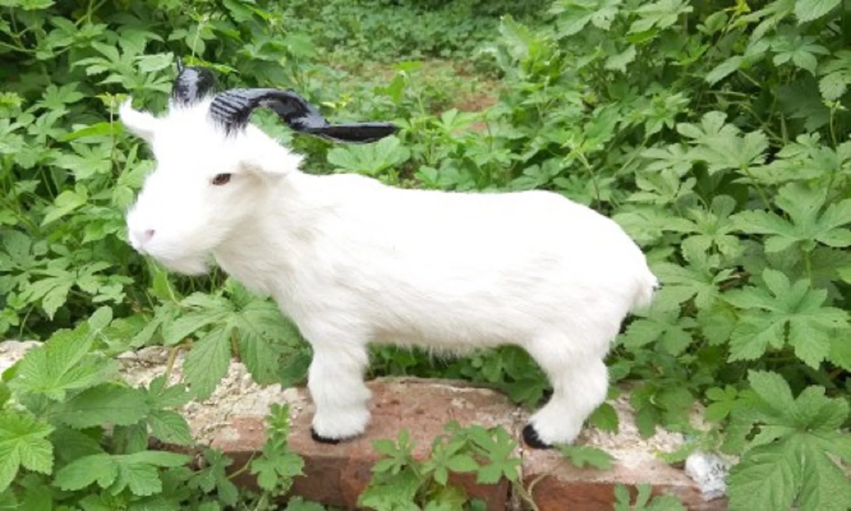 

about 37x28cm big simulation sheep model toy,polyethylene&furs white goat toy 1752