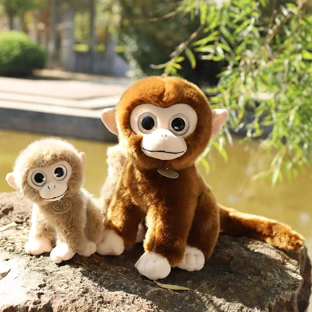 

Big Eyed Golden Monkey Plush Long Tail Stuffed Animal Monkey Stuffed Toy 17/30CM Simulation Brown Monkey Dolls Kids Toy