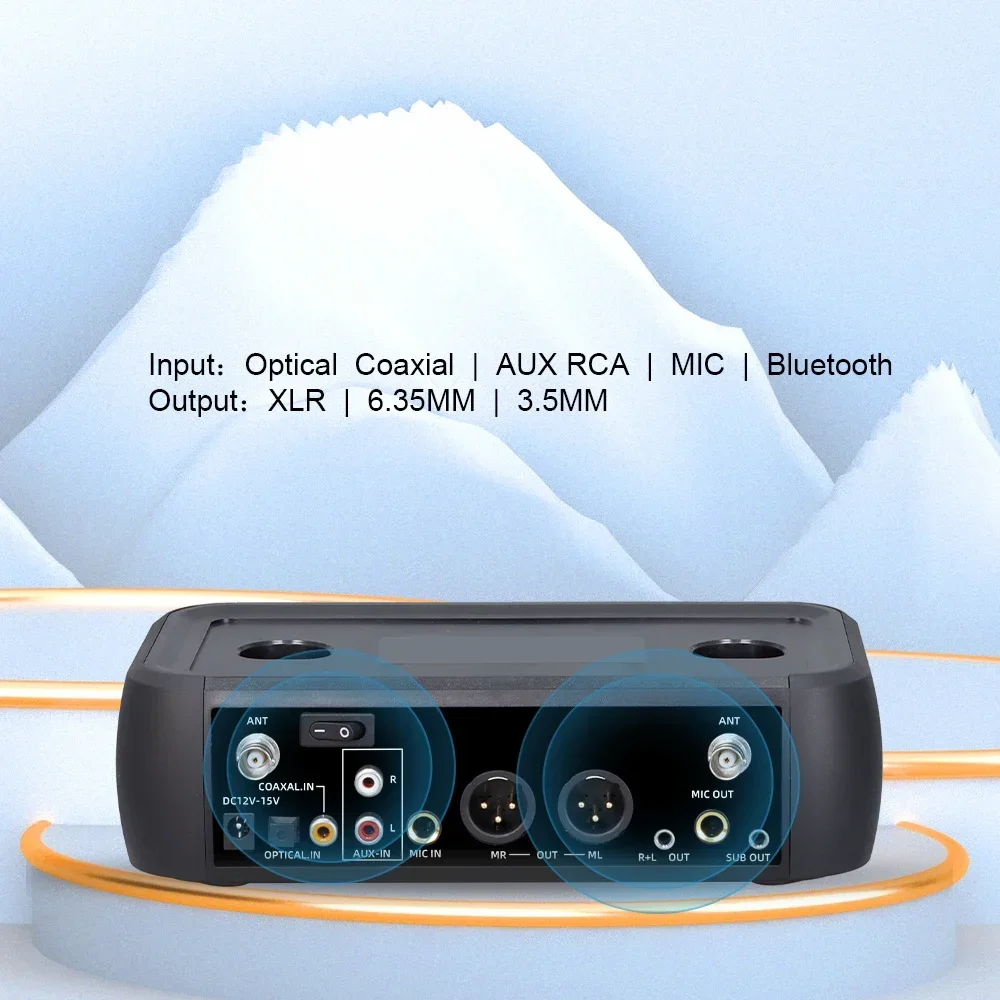 

Portable UHF DSP Microphone Wireless Microfon With Bluetooth XLR Connector For Church Conference KTV Teaching Meetings