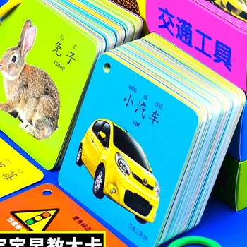 תינוק מוקדם חינוך הארה קוגניטיבי מעובה גדול לראות תמונה אוריינות כרטיסי עולם חי