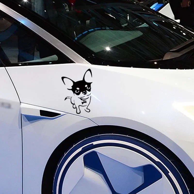 16*11cm New Product Car Stickers Chihuahua Dog Vinyl Decal Cartoon Animal  Bumper Motorcycle Funny Car Styling Graphics Jdm