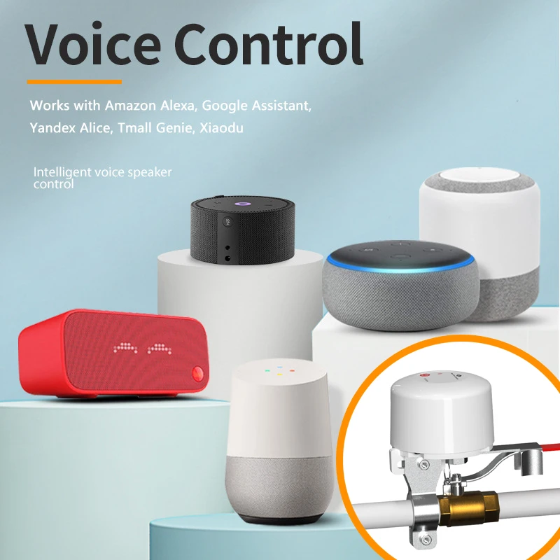 Tuya Smart WiFi Water Gas Valve ON/OFF Auto Control Timer DN15 DN20 Pipe Valve Support Alexa Google Assistant Remote Controller