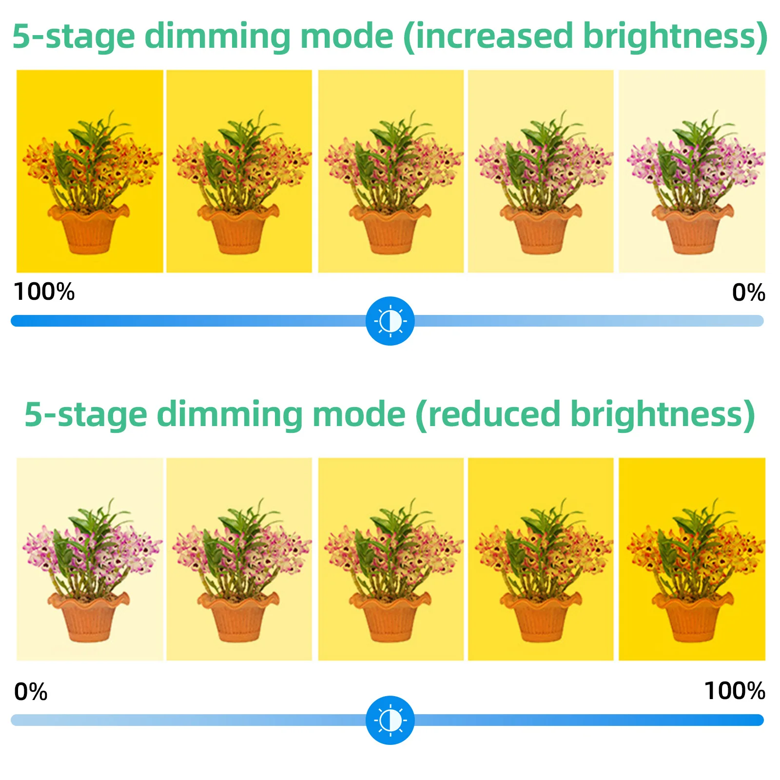 Lampes de culture pour plantes d'intérieur, 3 têtes, 4.8W, 34,5 strada, 60LED, minuterie, USB 625, luminosité variable, succulentes, éclairage bonsaï