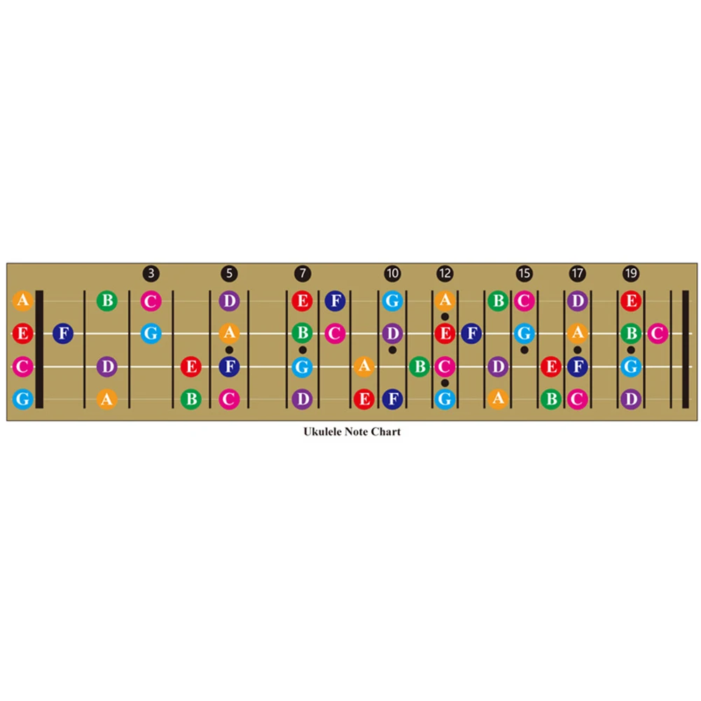 

Color Coded Ukulele Fretboard Note Chart, Learn Guitar And Music Ukulele Chord Chart For All Levels Boys Girls