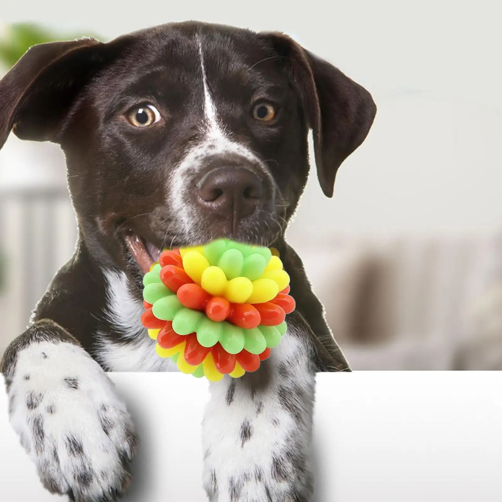 

Мяч для домашних животных, жевательные игрушки для собак, интерактивные шарики, игры для Fetch, товары для домашних животных для средних, маленьких, крупных пород, щенков, движущиеся упражнения для тренировок