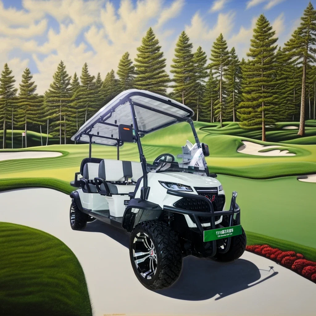 48V 5kw Electric Golf Cart for Adults 4-6 Seater Pink Lithium Golf Carts with 2 Stroke Engine Gbk
