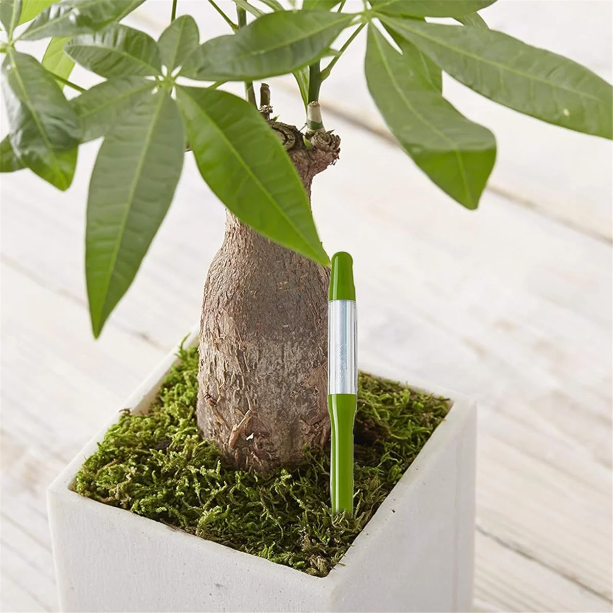 مقياس مائي AAA87، 5 قطع، مستشعر رطوبة التربة النباتية، مقياس رطوبة التربة النباتية المنزلية، الأفضل للنباتات الداخلية بوعاء (كبير)