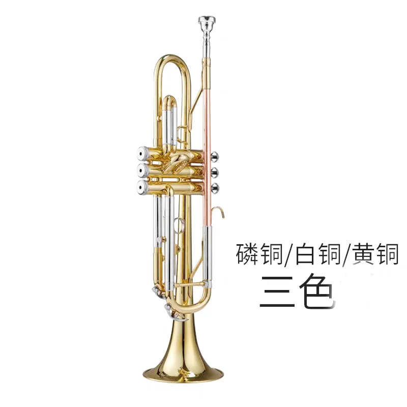 

Phosphor, copper, trumpet, brass, gold, copper and lacquer gold for adult tricolour