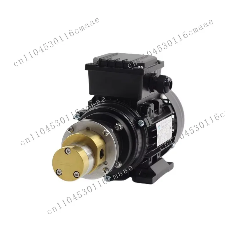 

Food Grade Magnetic Drive Gear Pump AC 220V Rotary Micro Liquid Filling Machine for Industrial Use