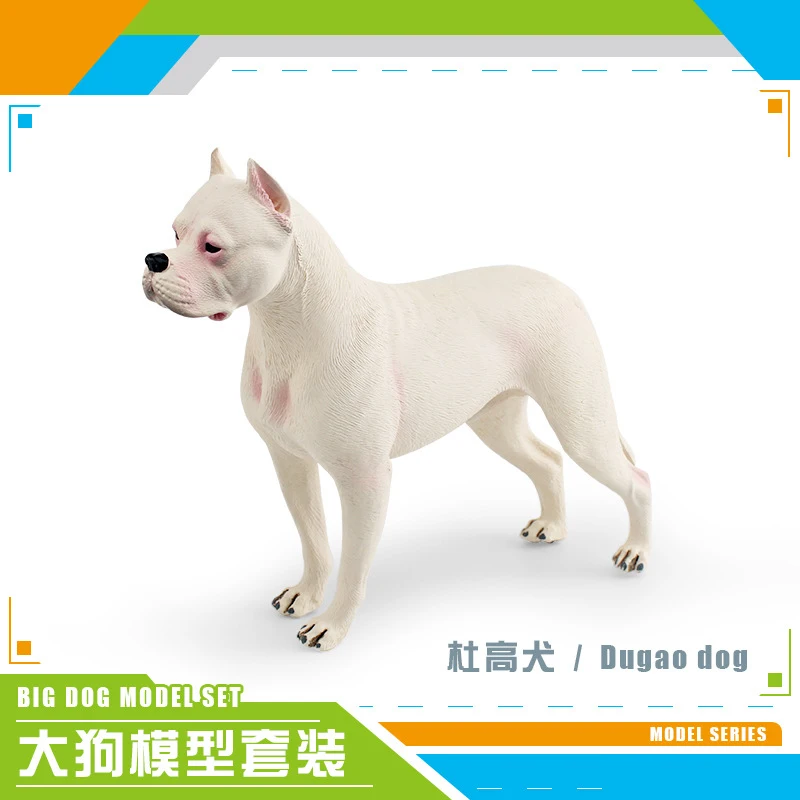 Simulation Animal Model for Children, Dog Animal, Bull Terrier, Dogger, Spaniel, Rottweiler, Static Ornaments, Cognitive Imitati