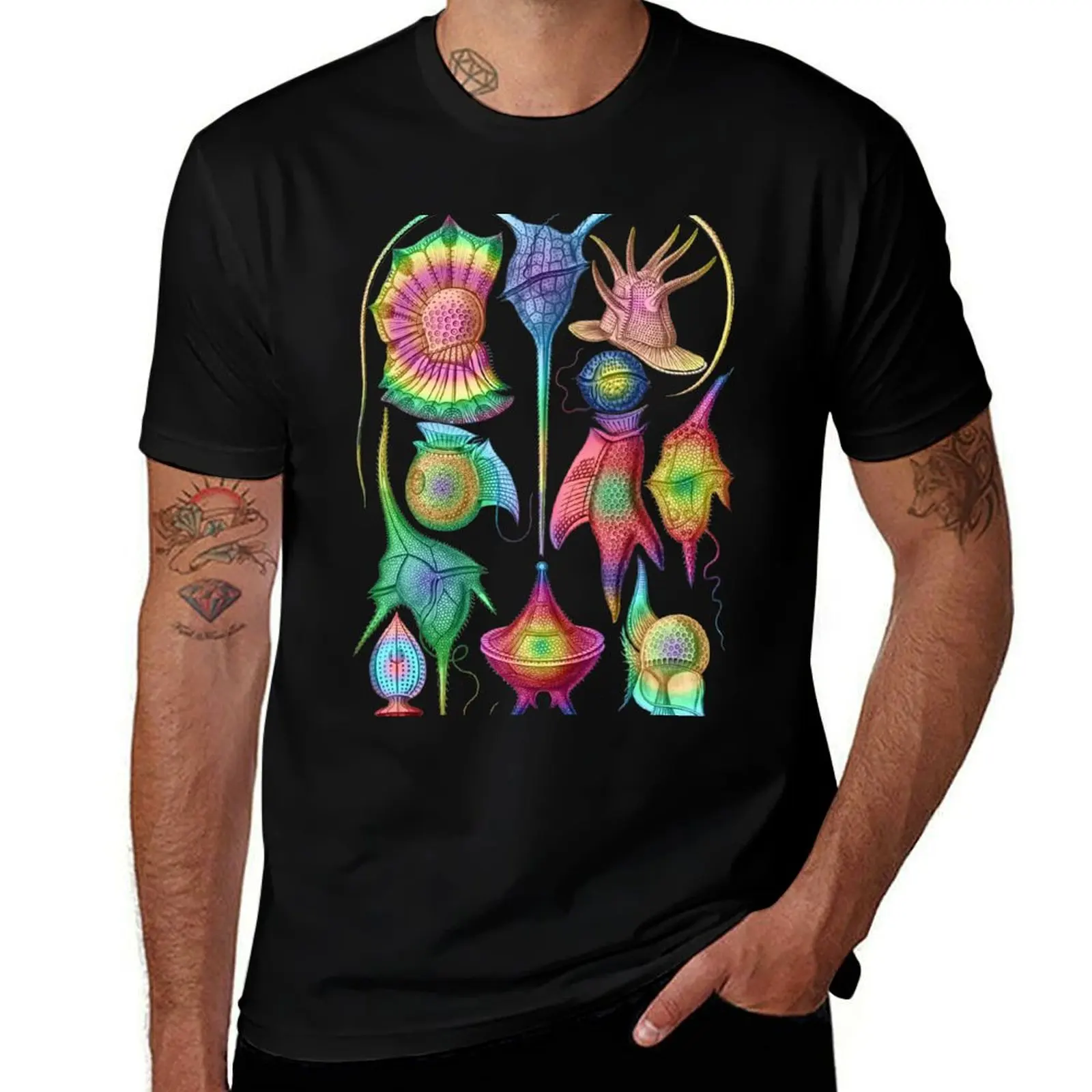 Ernst Haeckel Peridinea Plankton Algae Rainbow T-Shirt anime figures topping men t shirts