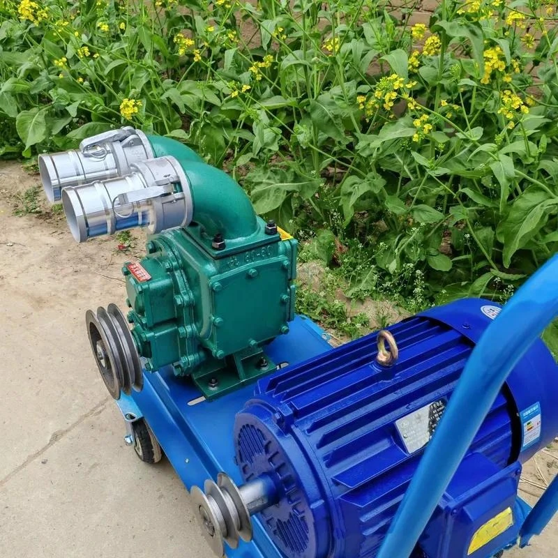 Industrial sludge pump, livestock fertilizer suction pump, sewage farm conveying equipment