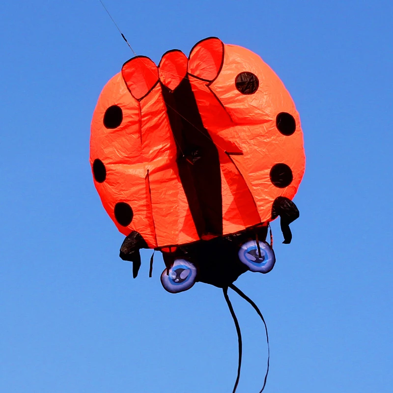 Cerf-volant souple 3D CÔTÉ cinelle pour adultes, jouet d'extérieur, parachute, moulinet, weifang, usine, livraison gratuite