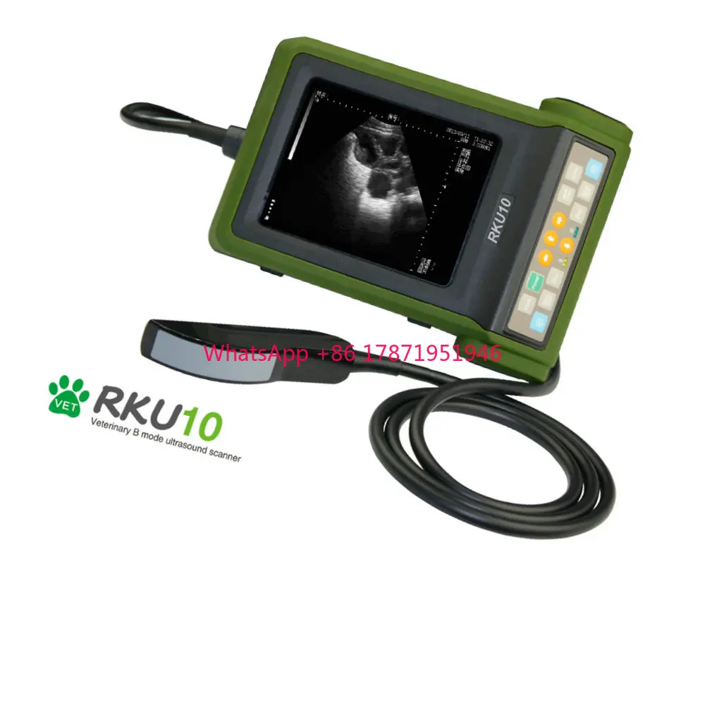 

Portable Veterinary Ultrasound Machine Scanner RKU10 Kaixin Veterinary Ultrasound For Cattle Horses Sheep Animals