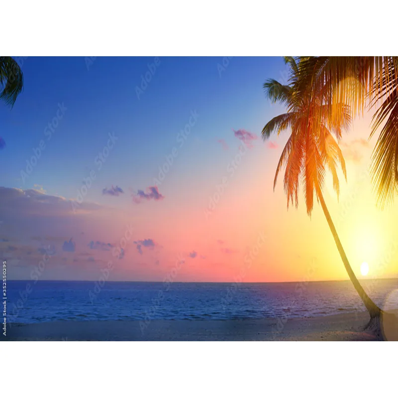 ภาพทิวทัศน์ทะเลต้นปาล์มชายหาดเขตร้อนฉากหลังถ่ายภาพสตูดิโอถ่ายภาพ hhb 15