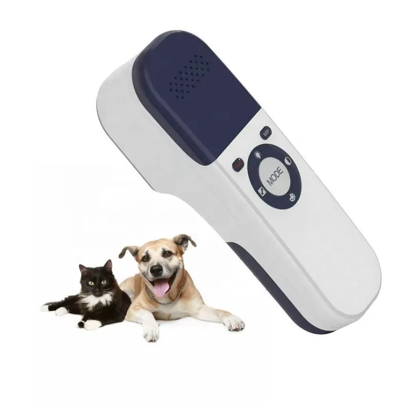 Cat Dog Pet Animal …