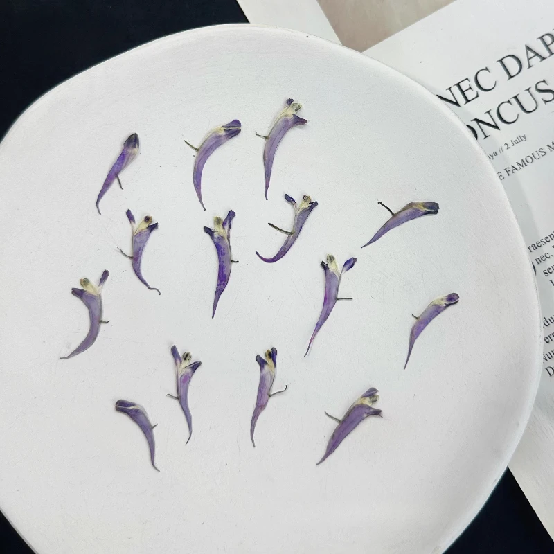 12 Uds., 2-3cm, camarones pequeños, flores secas, especímenes de plantas reales, pétalos decorativos de resina epoxi DIY, pintura de marco de fotos hecha a mano Fac