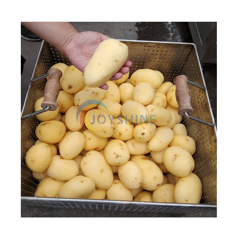 Large Capacity Brush Type Cassava Sweet Potato Carrot Fresh Ginger Washer Peeler Machine