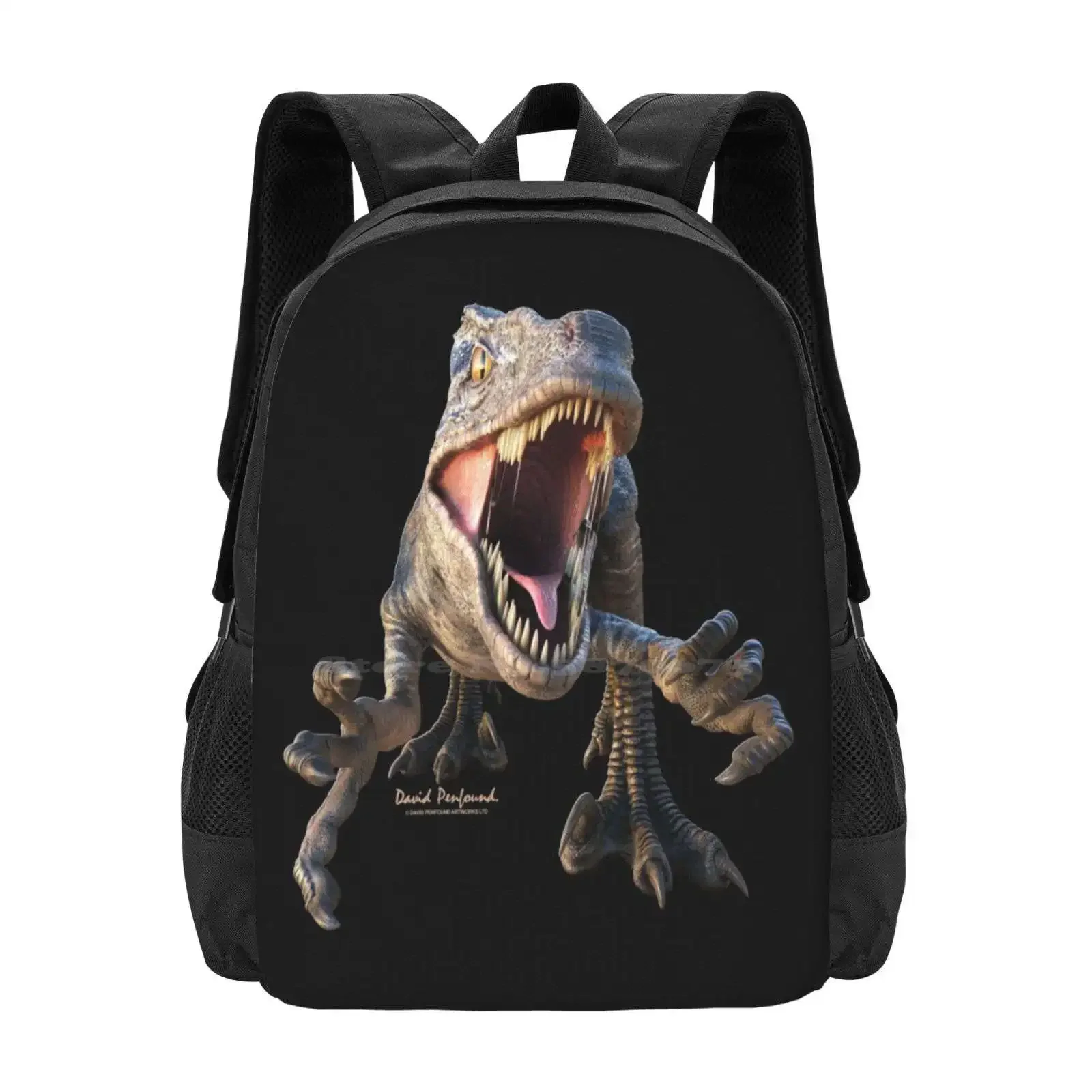 

Raptor Hot Sale Backpack Fashion Bags Raptor Dinosaurs World David Penfound Davidpenfound Roar