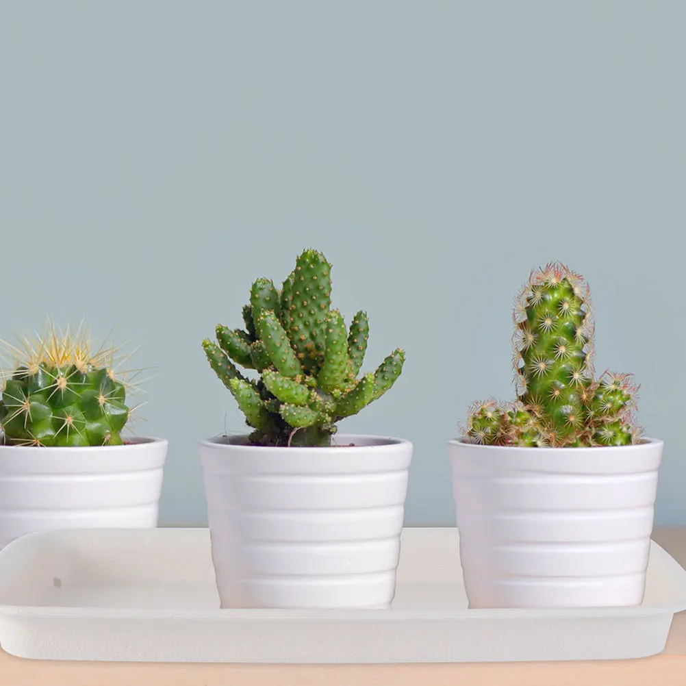 3 Buah Pot Bunga Persegi Panjang dengan Tatakan Plastik 21x8,5cm Warna Beige, Anti Bocor, Tahan Lama, Nampan Pot Tanaman, Nampan Tanam