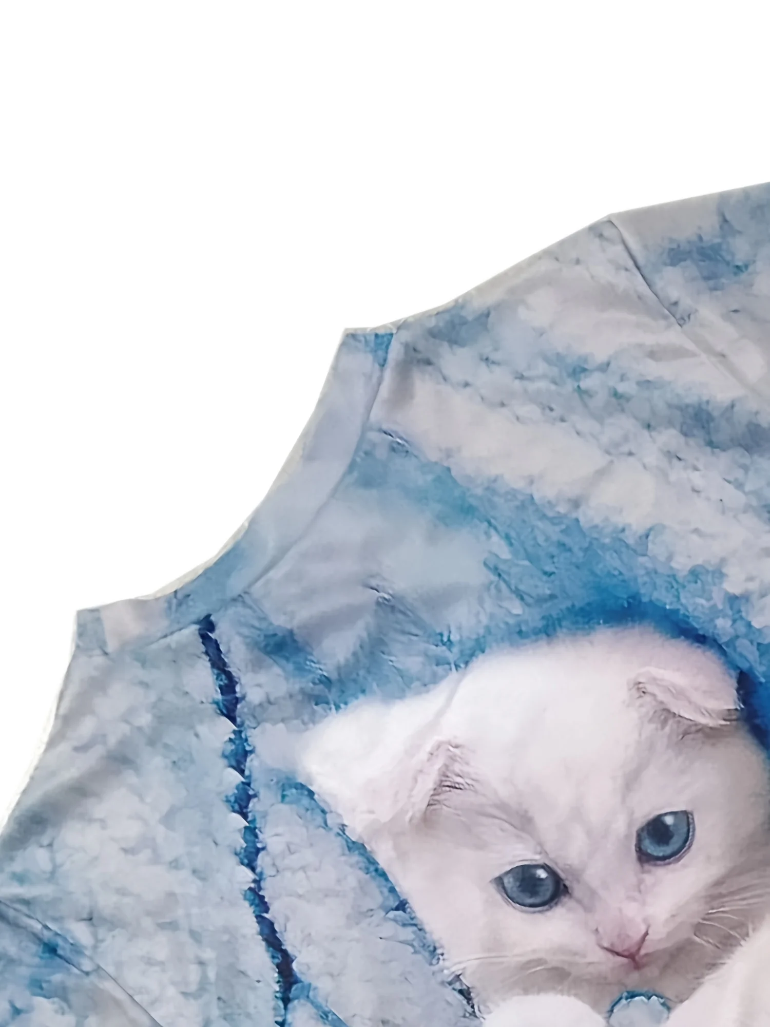 Cute Cat Sweatshirt Soft and Comfortable Long Sleeve Crew Neck Design for Casual Wear - Perfect for Ladies and Girls Wom