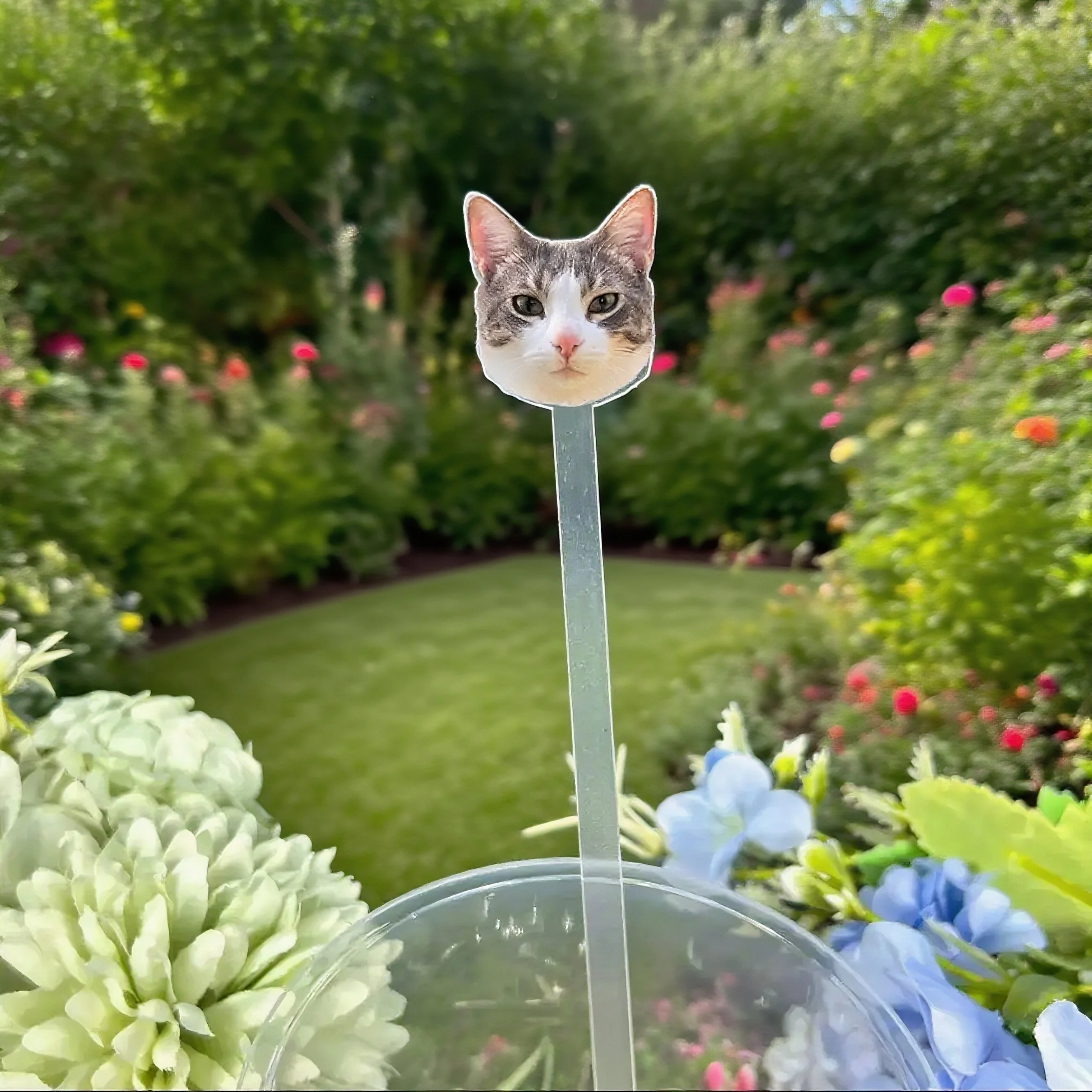 تخصيص صور شرب النمامون هدايا الزفاف الجدول الديكور شخصية كوكتيل النمامون الاكريليك حزب شرب النمامون جزء #5