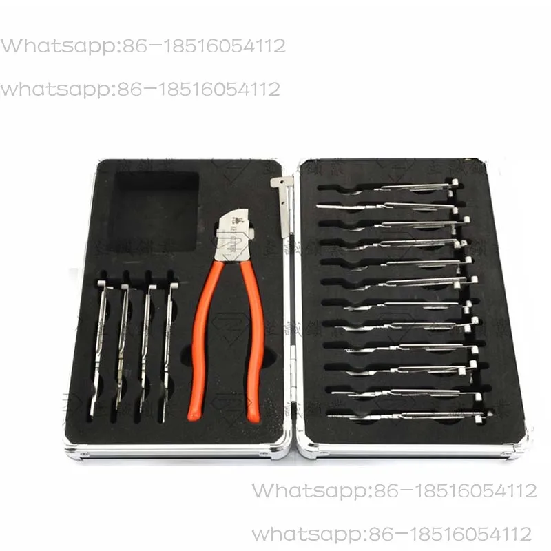 Lishi 2 in 1 16PCS HU66 HU92 HU100 HU101 HU100R HU64 TOY2 TOY48 TOY43AT K5 NSN14 MAZ24 HU83 VA2T HY22 Euro Asian Lock Pick Tool