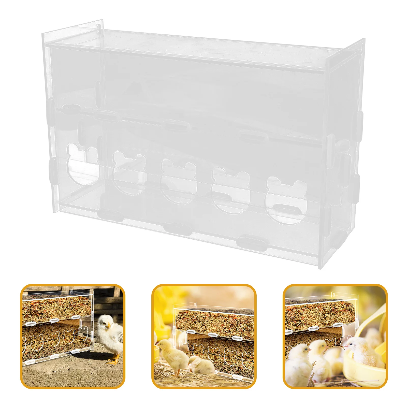 

Automatic Feeder Transparent Acrylic Chicken Feeding Bowl For Parrot Rutin Chicken Poultry Multi-Use Food Container