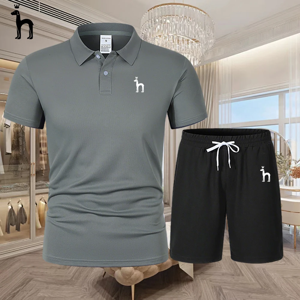 

Men's High-end Summer Polo Shirt, Quick Drying Breathable, Casual Business Fashion, Sports Style, Short Sleeved Set,