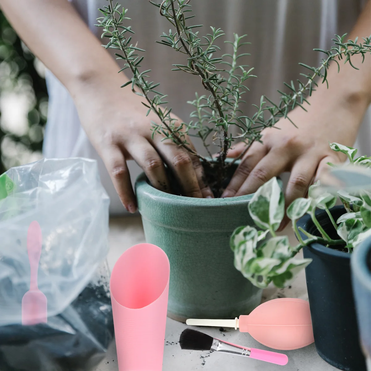 6 قطعة مجموعة أدوات زراعة صغيرة للعصارة مجموعة فرش مجرفة مريحة متينة أدوات حديقة مدمجة لزراعة الشتلات