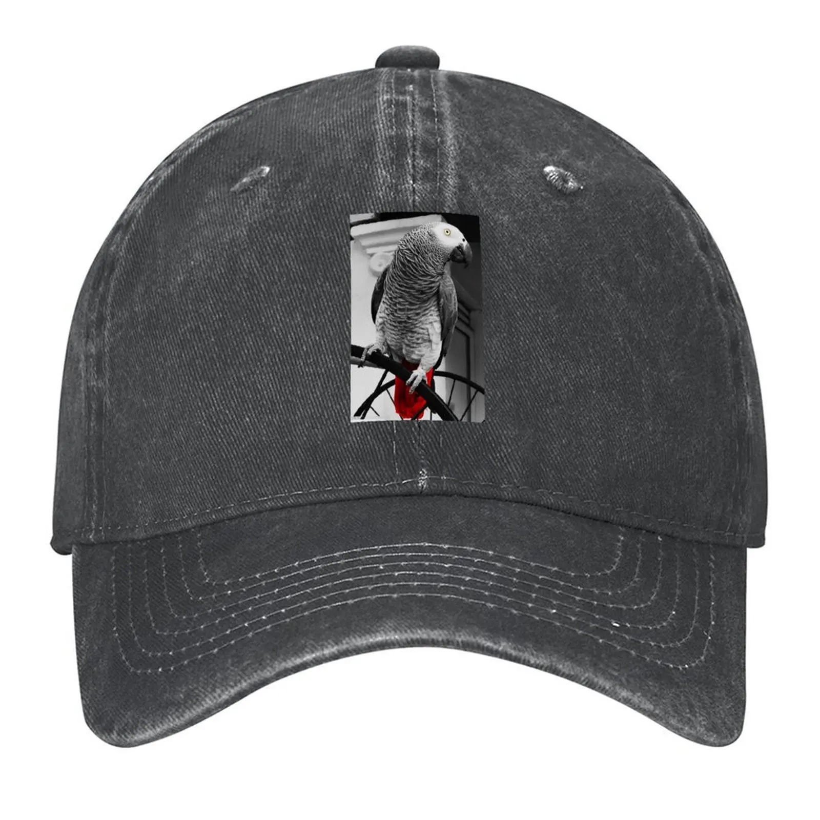 

African Grey Zipped Hoodie Baseball Cap sun caps western Hat Beach Outing Funny hats Men Caps Women's