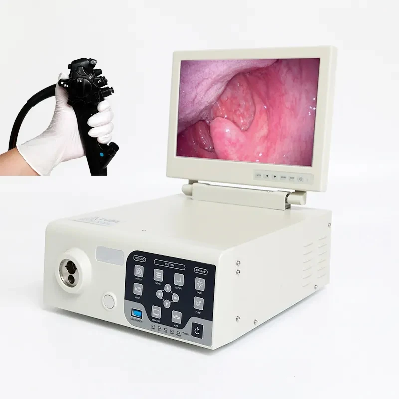 All in one Veterinary video Gastroscope Colonoscope system for Equine cattle dolphin