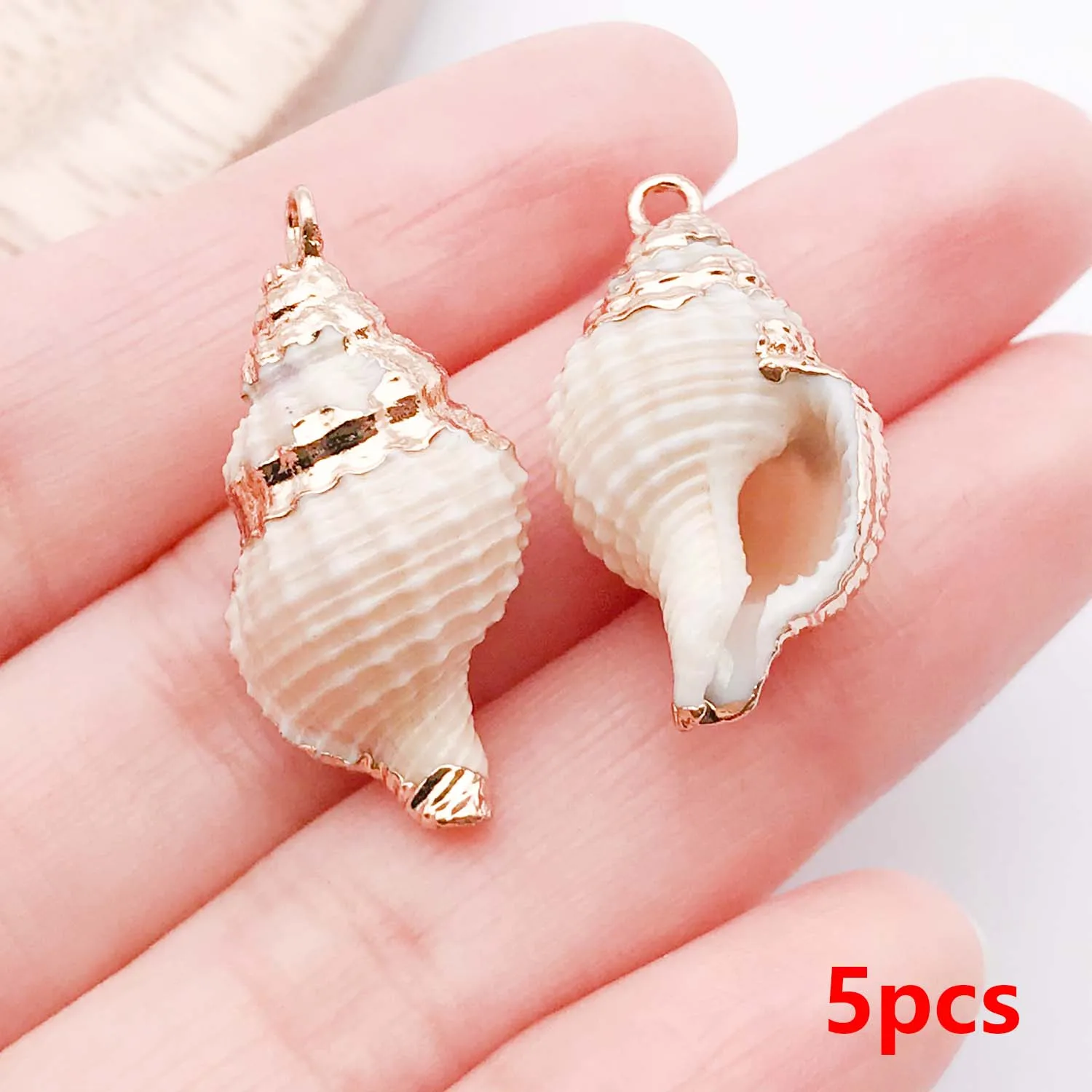 5pcs Natural Seashell Charms for DIY Jewelry Making