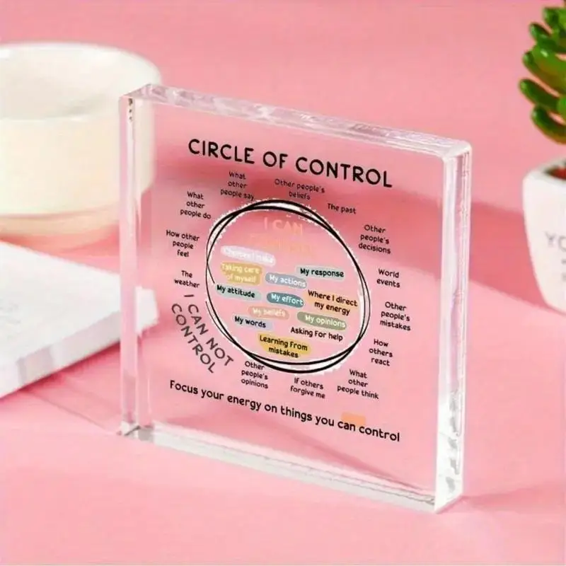 Circle of Control Acrylic Decor, What I Can and Cannot Control Therapy Office Decor, Mental Health Calm Down Corner