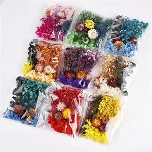 Natural Plants Dry Flowers of Starry Heaven, Preserved Materials Kit, Epoxy Resin Candles, DIY Soap, Floral Material Set 10 Main Sales Natural Dry Flowers - №9