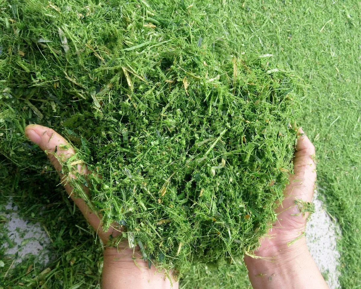 Multifunctional Fresh Grain Corn Stalk Bean Wheat Straw Crusher/Dry Grass Crushing Grinding Machine For Sheep Breeding