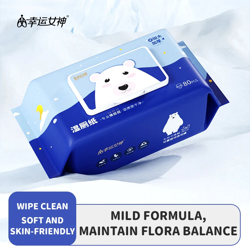 Toalhetes de papel higiénico húmido para adultos, Toalhetes molhados, Limpeza Privada, Tecido Anti-séptico, Toalhetes higiénicos, 1 Pack, 80Pcs