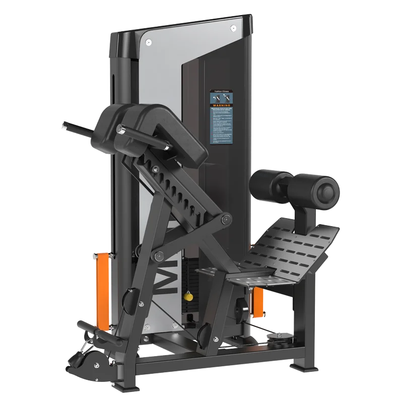 

Commercial Gym Equipment Premium Pin Loaded Selection Strength Training Heavy-Duty Back Extension Machine for Professional Club