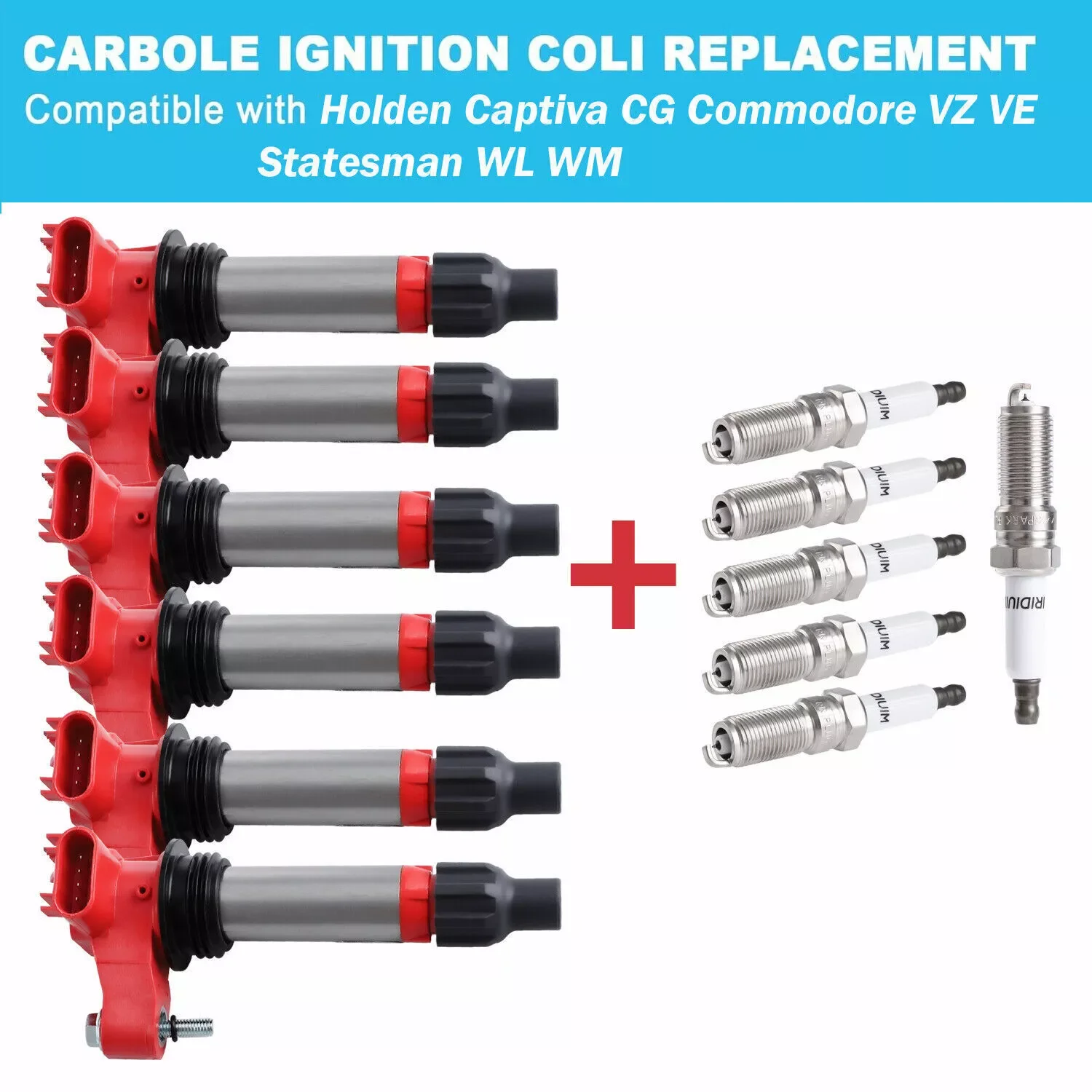 Carbole 6x Ignition Coil Spark Plug Pack for Holden Commodore VE V6 CALAIS BERLINA OMEGA