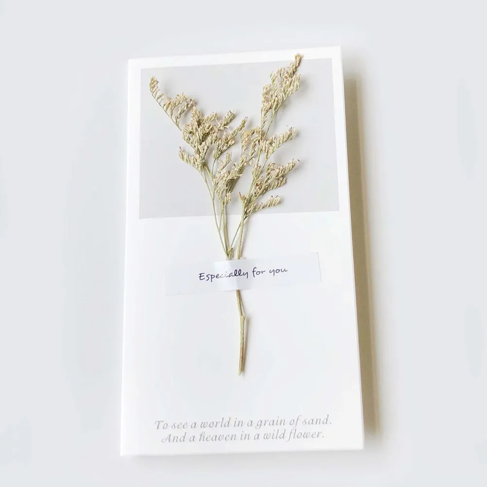 

12Pcs Dried Flower Decor Greeting Cards Odorless Sturdy Premium Material Perfect for Valentine Day Anniversary Thank You Gift