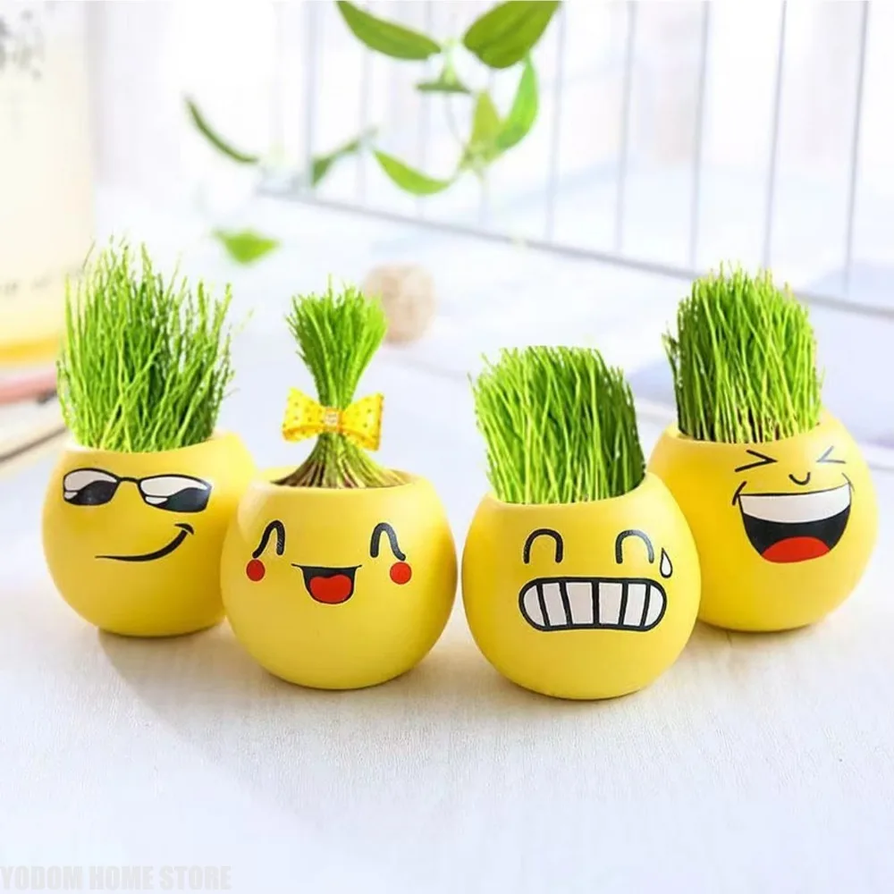 Cool Expression DIY Flowerpot, Creative Desktop Decoration. Observing Micro Landscapes, Interesting Plants, Mini Potted Plants
