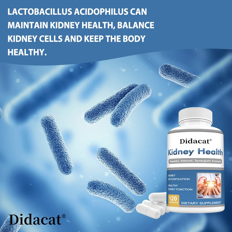 Kidney Cleanse Detox Support Capsules, Probiotic 15 Billion CFU Prebiotic FOS, Niacin & Sodium, Gut Balance & Digestive Wellness