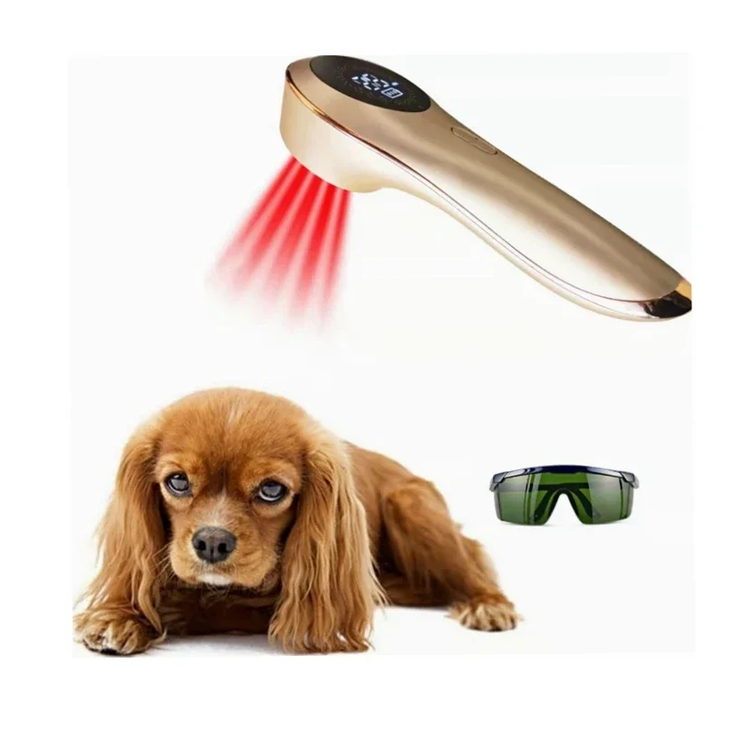 

Veterinary Pet Laser Pain Relief Device Handheld Laser Therapy Lllt Low Level Laser Therapy Device