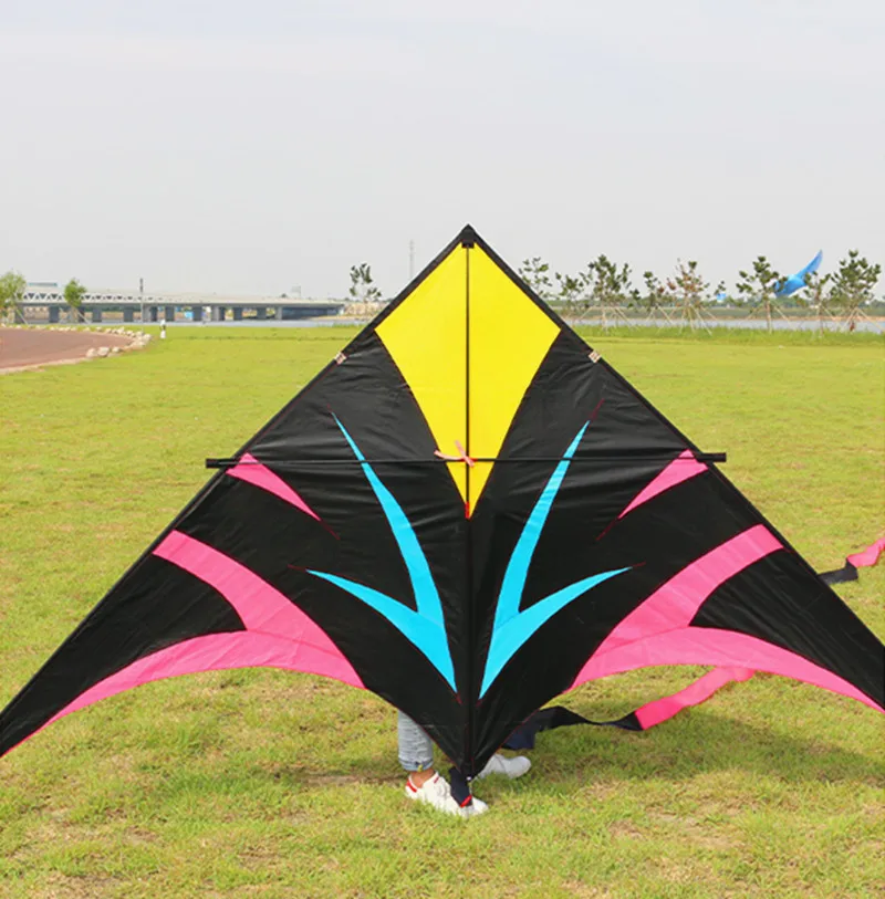 free shipping large delta kites flying for adults kites reel professional wind kites factory pocket kite sports toys eagle kite