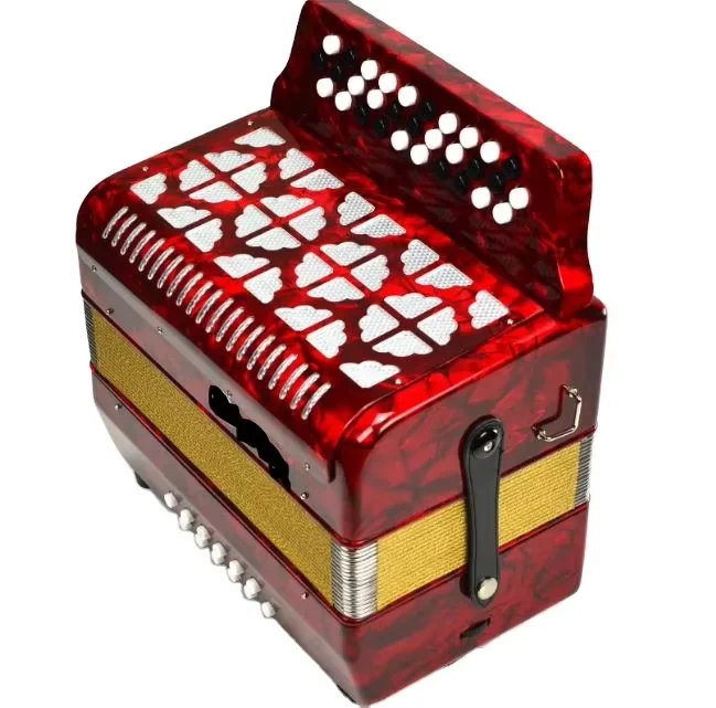 31-Key 12-Bass Piano Accordion Diatonic Bayan Accordion B/C System Factory Direct for Entry Level Players