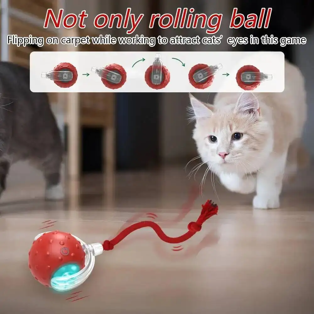 Interactive Cat Toy Ball with Bird Chirping Super Drive Cat Rolling Balls Motion Activated Sensor Pet Kittens Teaser Game Toys view 6