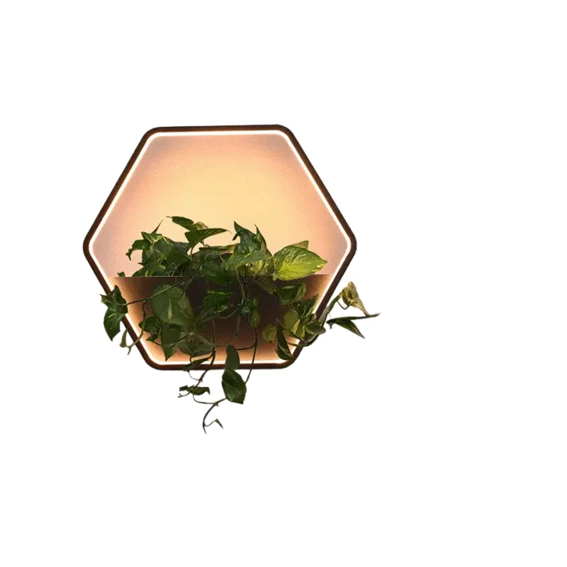 Modern IP65 LED Garden Wall Lamp Ac220v Stainless Steel Body Villa Decorative Potted Hexagonal Warm Light