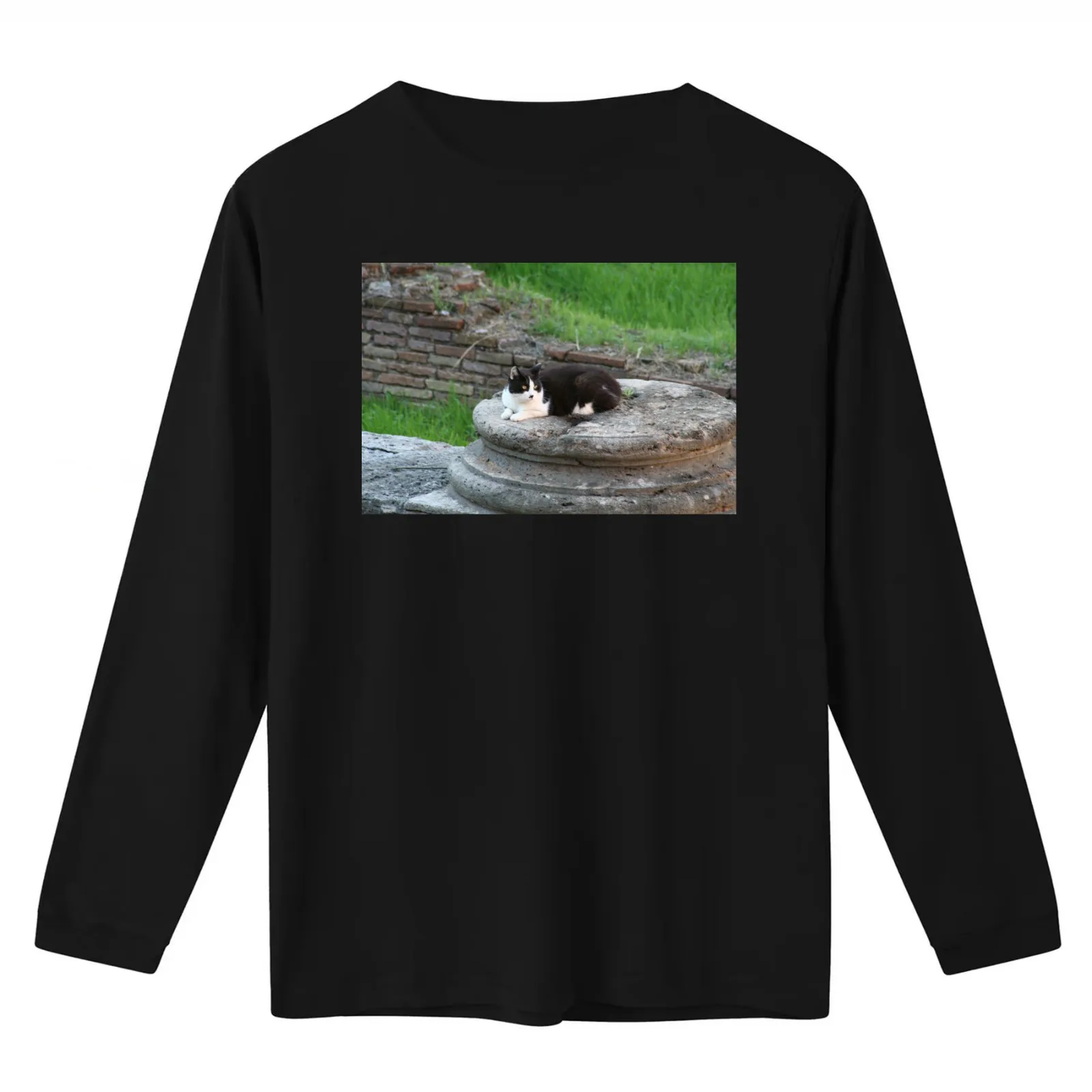 Archaeologist Cat Resting on a Roman Column T-Shirt Summer Casual Cotton Tee Oversized Streetwear Tops Vintage Graphic Print