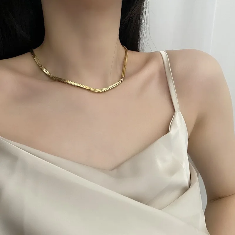 Stainless Steel Silver Plated Snake Bone Chain Necklace Bracelet Set Luxe Minimalist Modern Ins Trendy Niche Chic Jewelry Women